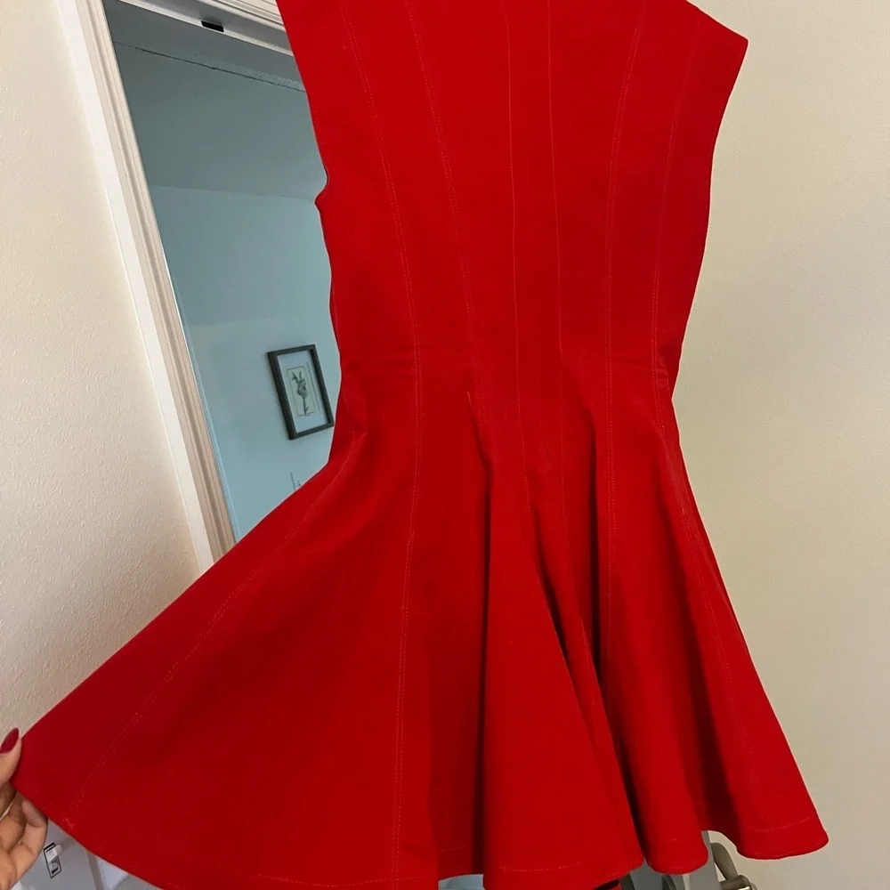 Zara Vibrant Red Mini Dress - Picture 5 of 5